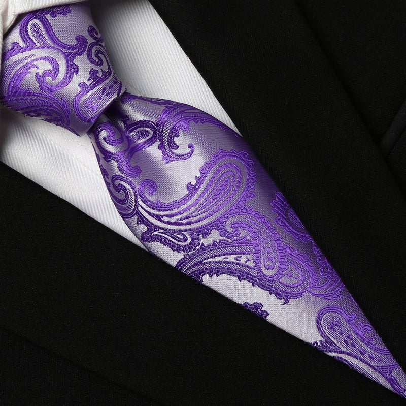 KissTies 4PCS Ties For Men Warm Colors Paisley Neckties + 1 Gift Box - Image 3
